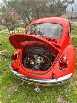 فولكسفاغن بيتل